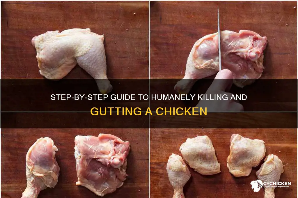 how do you kill and gut a chicken