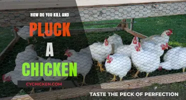 Humane Chicken Processing: Killing and Plucking Techniques for Home Farmers