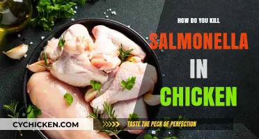 Effective Ways to Eliminate Salmonella in Chicken: Safe Cooking Tips