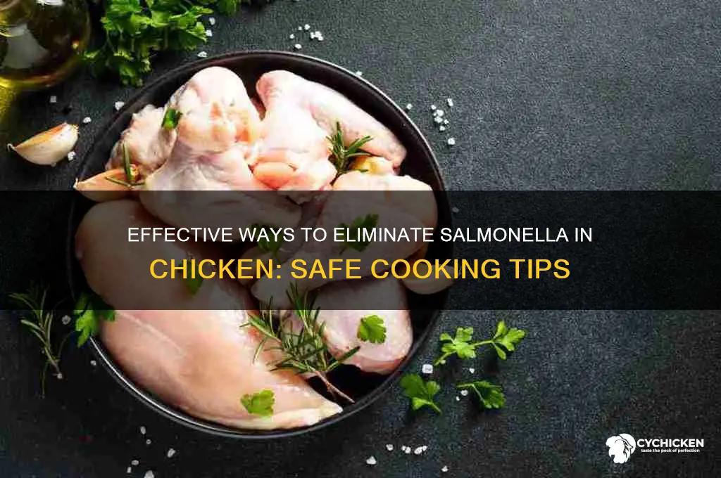 how do you kill salmonella in chicken