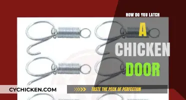 Mastering the Art of Latching Your Chicken Coop Door Safely