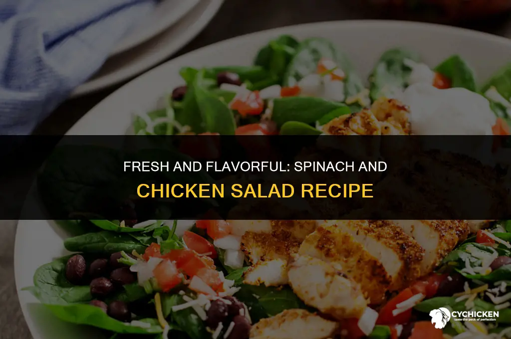 how do you make a spinach and chicken salad