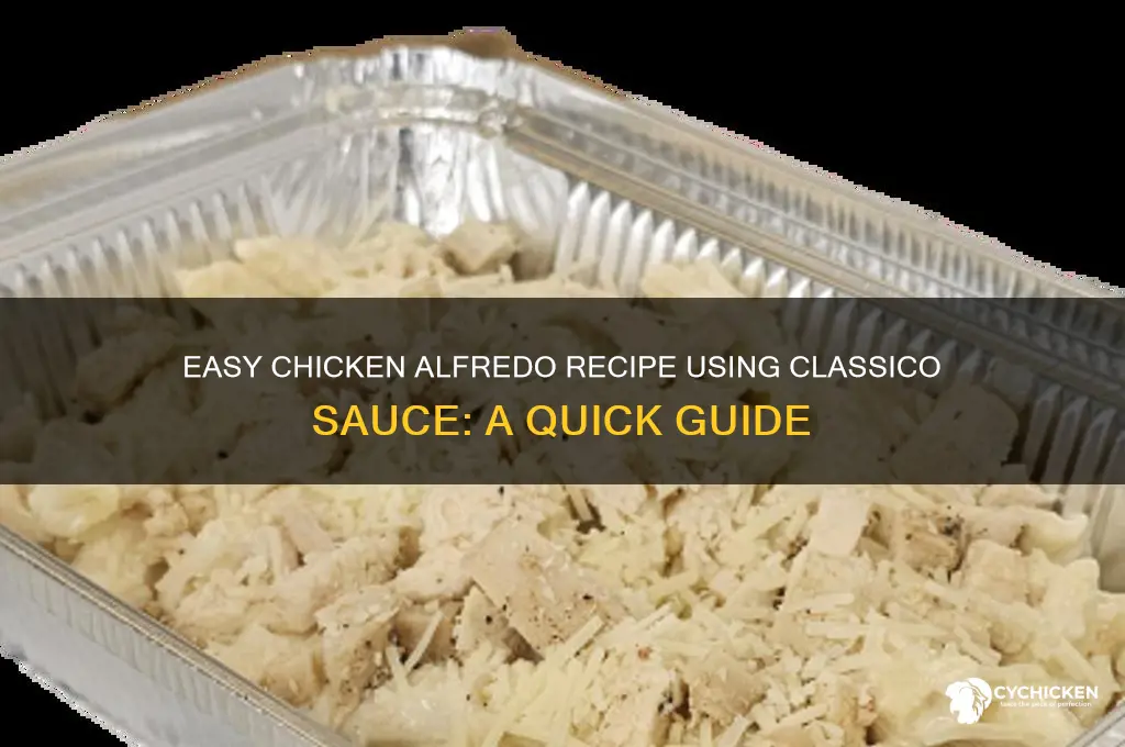 how do you make chicken alfredo with classico sauce