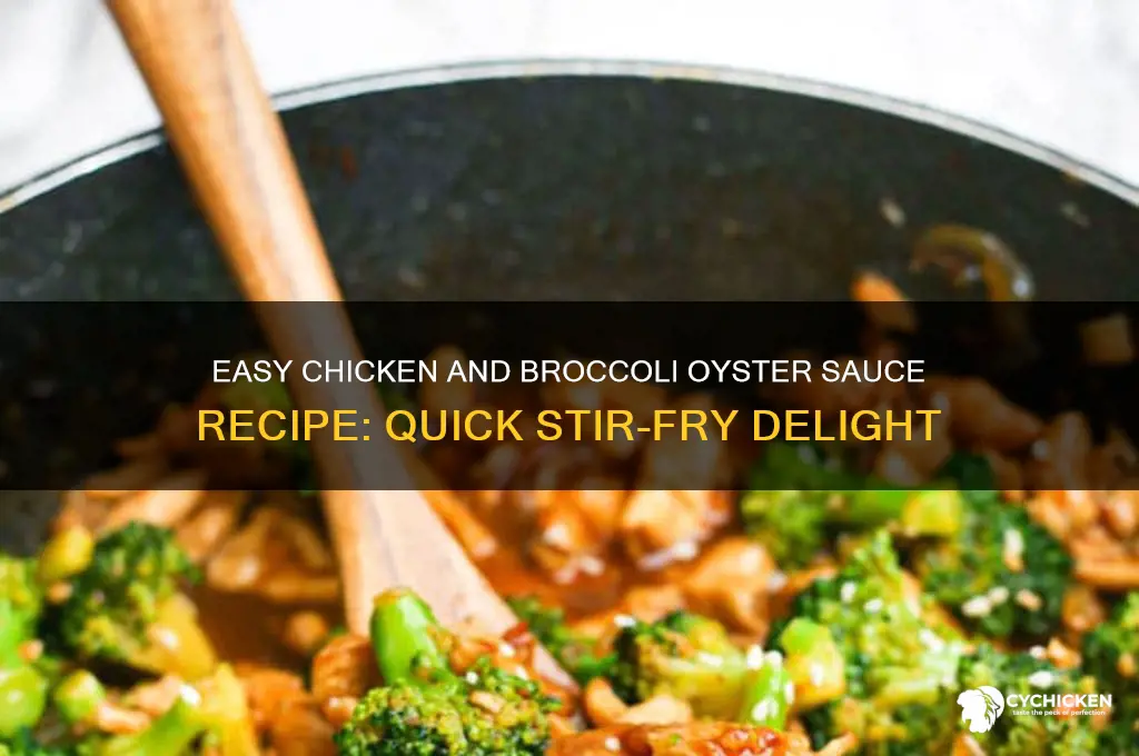 how do you make chicken and broccoli oyster sauce