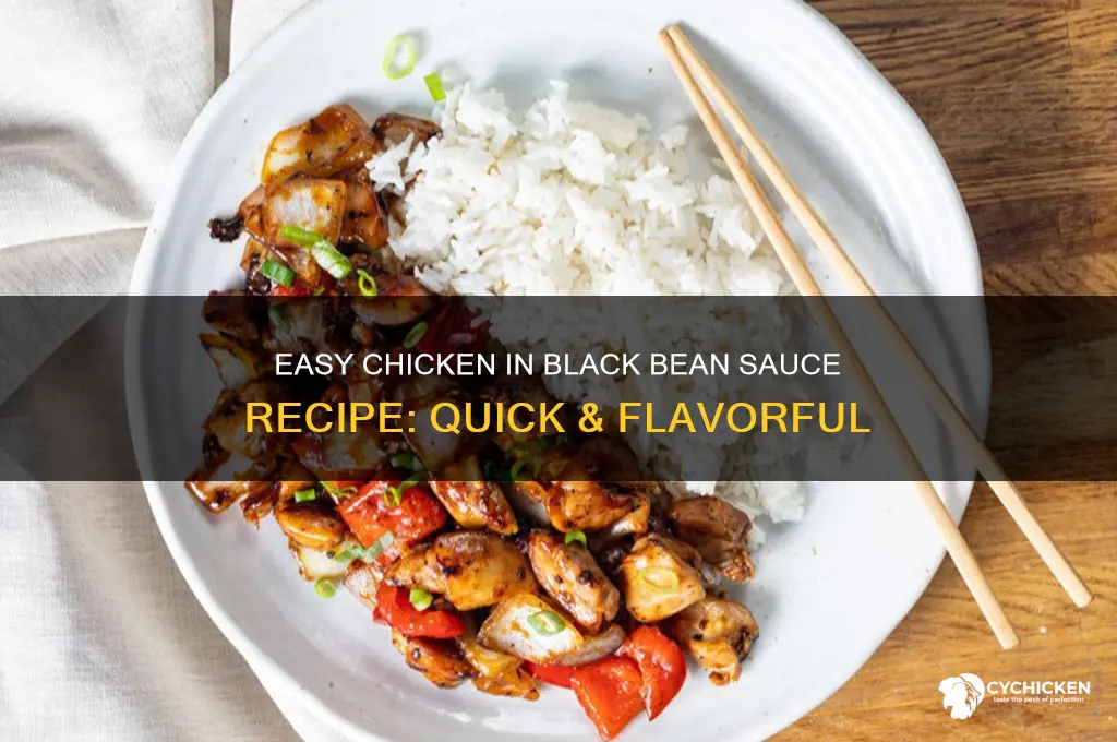 how do you make chicken in black bean sauce