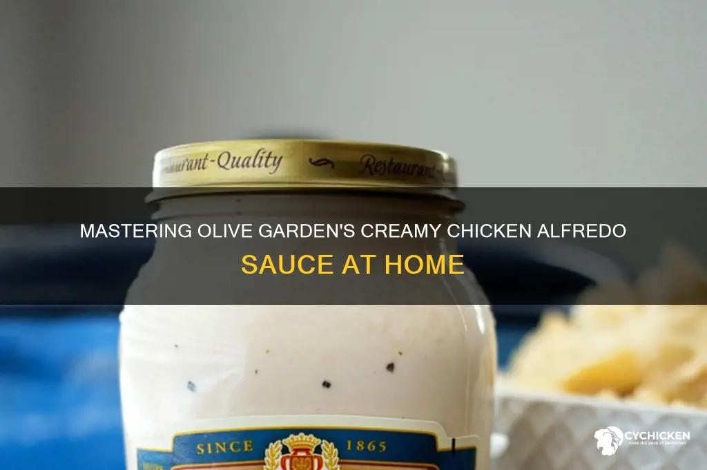 how do you make olive garden chicken alfredo sauce