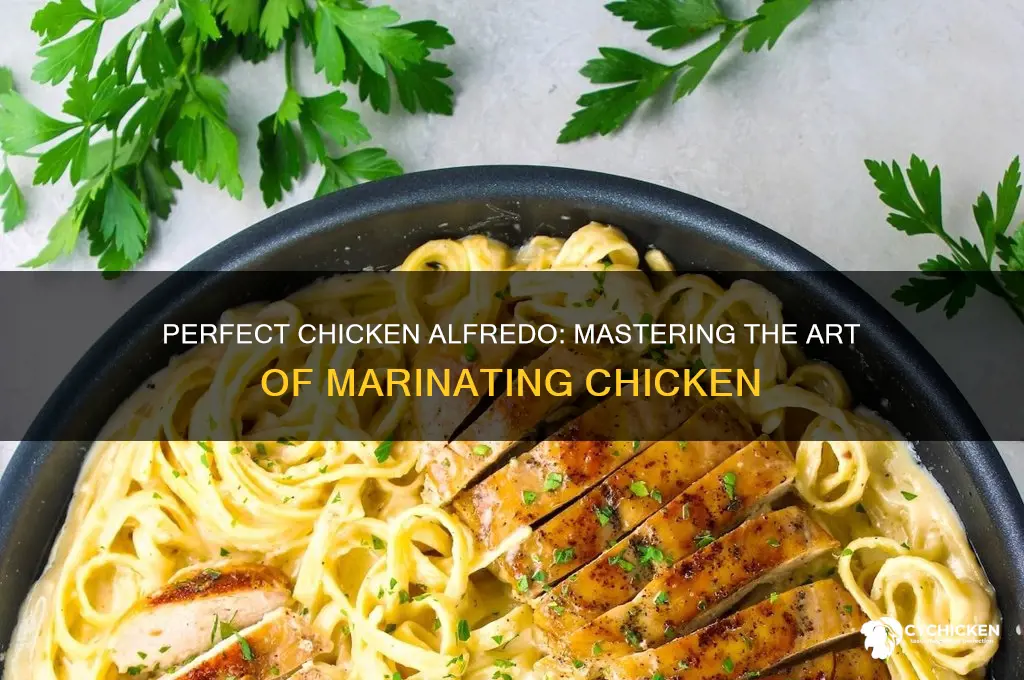 how do you marinate chicken for chicken alfredo