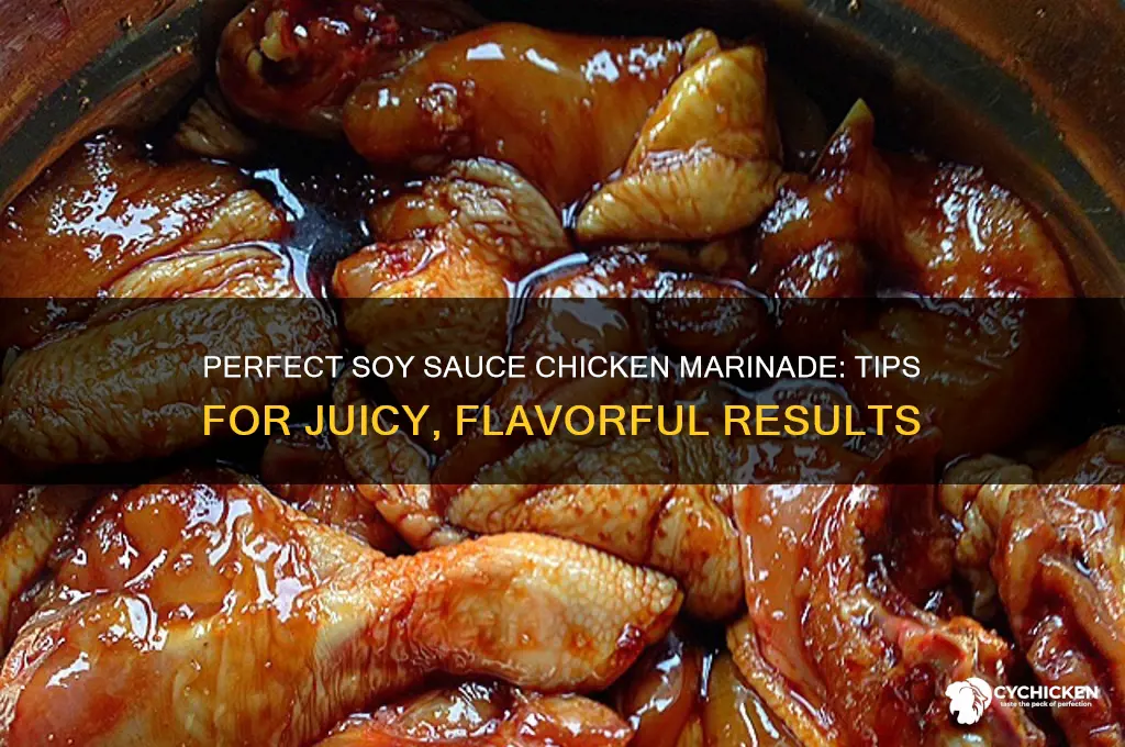 how do you marinate chicken in soy sauce