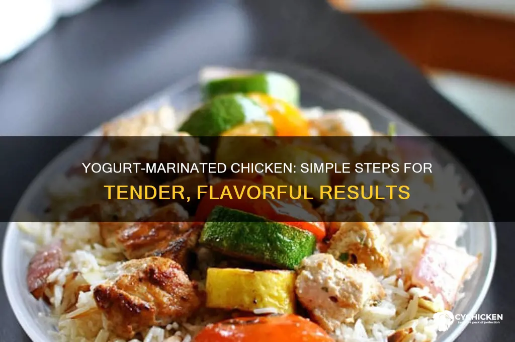 how do you marinate chicken in yogurt