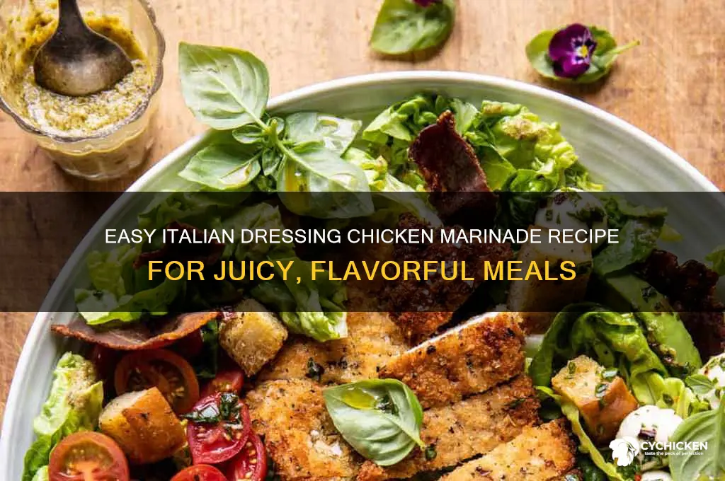 how do you marinate chicken with italian dressing