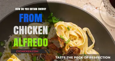 Unlocking Energy from Chicken Alfredo: Nutritional Insights and Tips