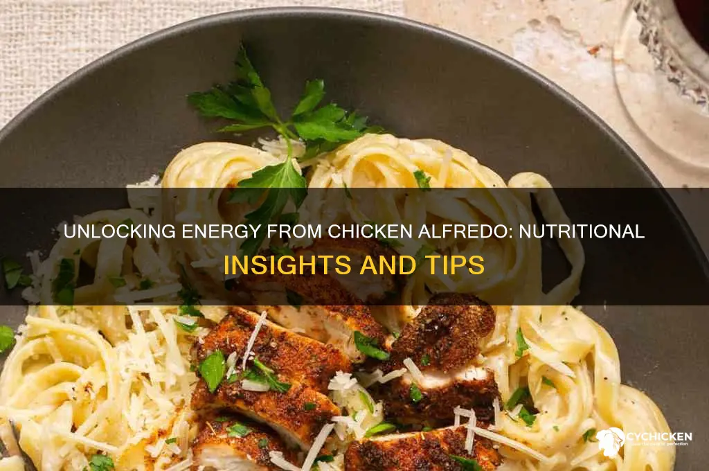 how do you obtain energy from chicken alfredo