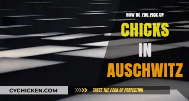 Respectful Reflection: Understanding Auschwitz's Gravity, Not Pick-Up Tactics