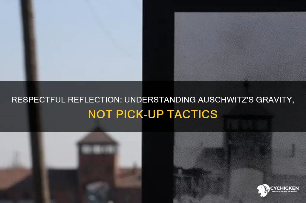 how do you pick up chicks in auschwitz