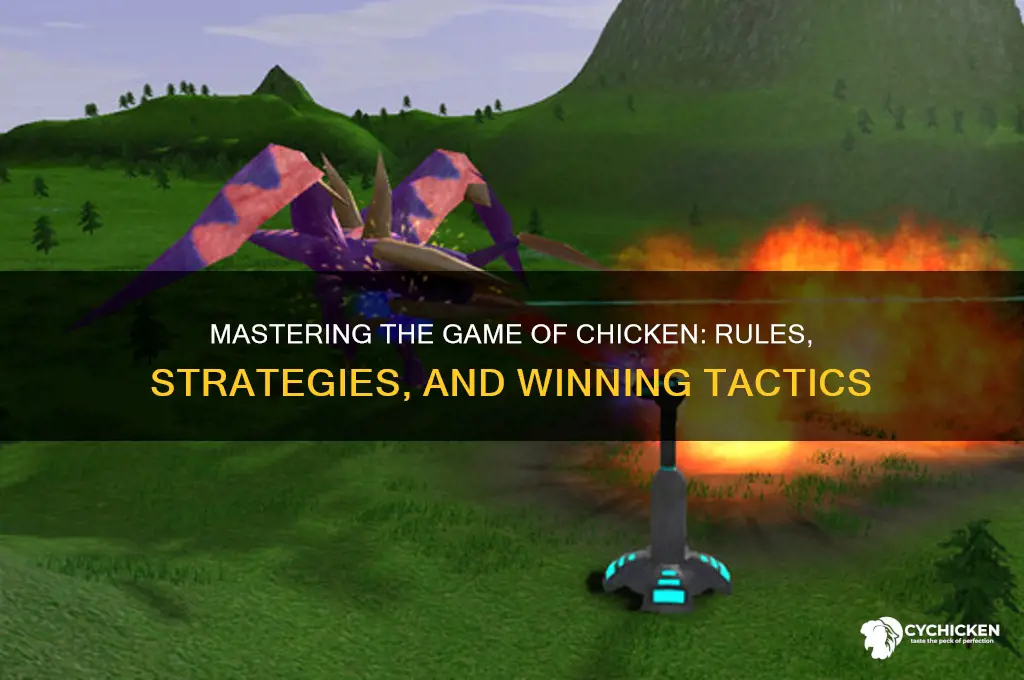 how do you play the game chicken