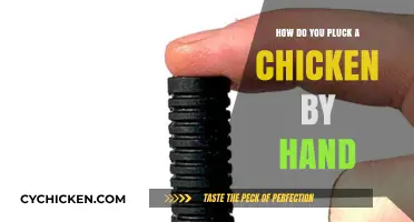 Mastering the Art of Hand-Plucking Chickens: A Step-by-Step Guide