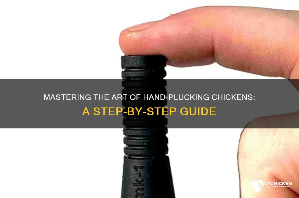 how do you pluck a chicken by hand