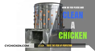 Mastering Chicken Butchery: Plucking and Cleaning Techniques for Fresh Poultry