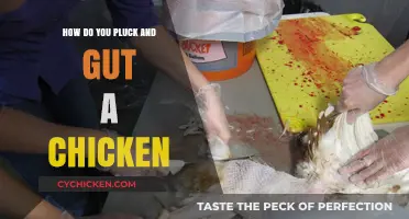 Mastering Chicken Butchery: Step-by-Step Guide to Plucking and Gutting