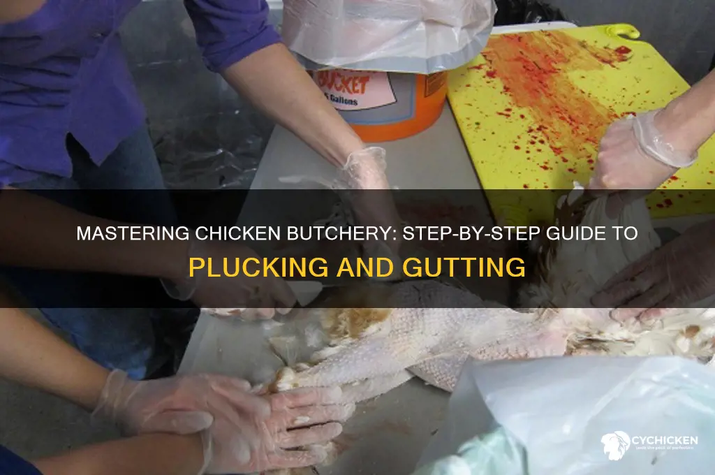 how do you pluck and gut a chicken