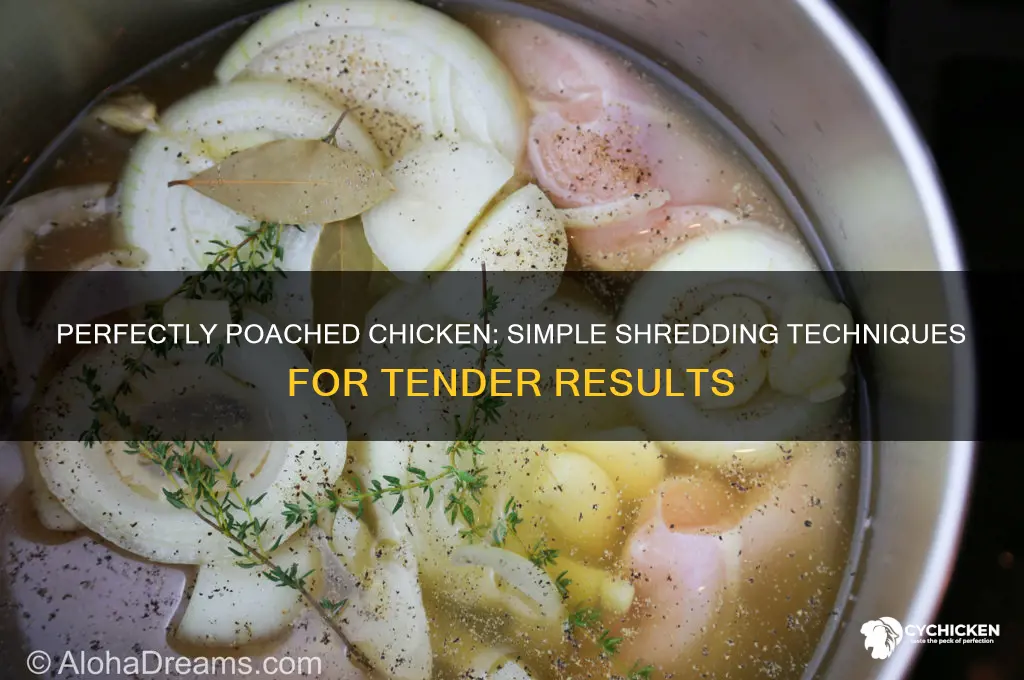 how do you poach chicken for shredding
