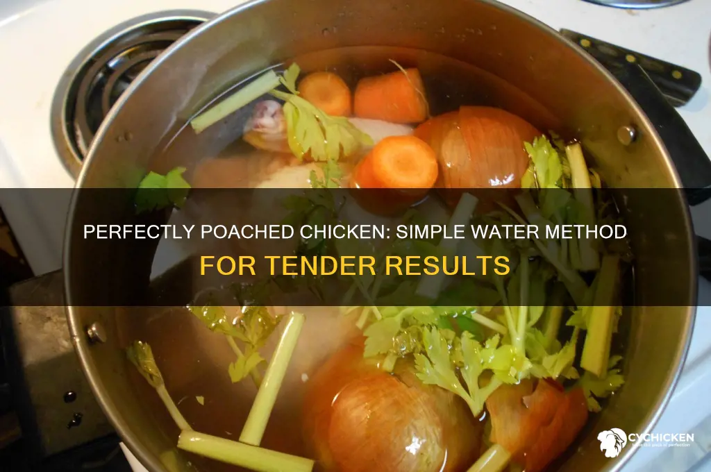 how do you poach chicken in water