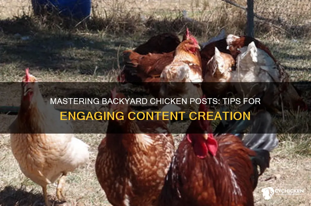 how do you post on backyard chicken