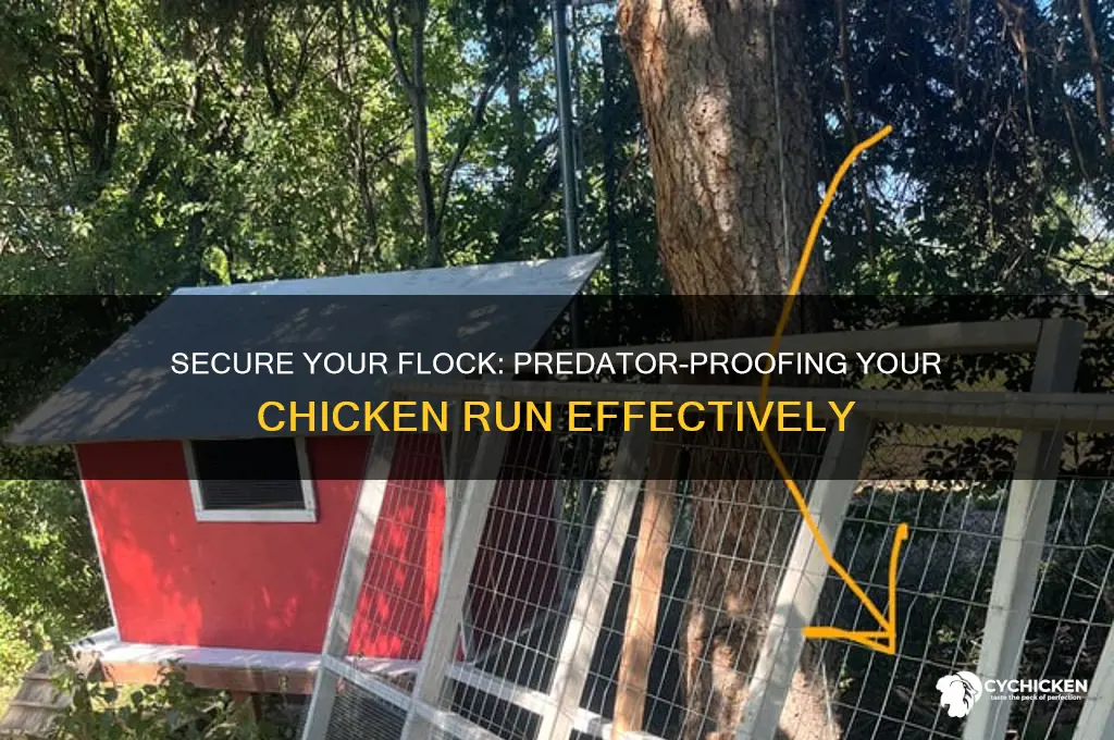 how do you predator proof a chicken run