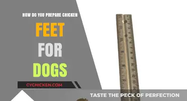 Preparing Chicken Feet for Dogs: A Safe and Nutritious Treat Guide