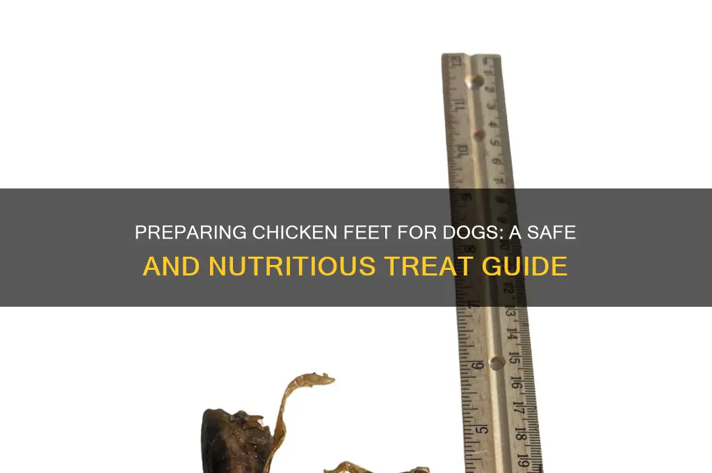 how do you prepare chicken feet for dogs