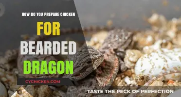 Preparing Chicken Safely for Your Bearded Dragon: A Step-by-Step Guide