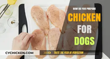 Safe Chicken Prep for Dogs: A Step-by-Step Guide