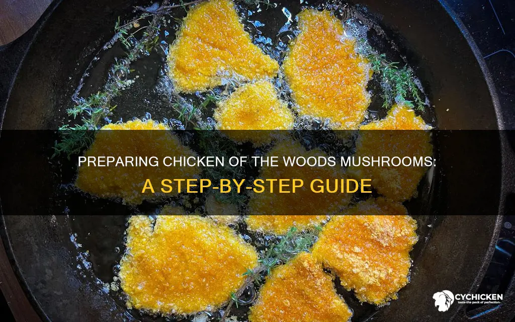 how do you prepare chicken of the woods mushrooms