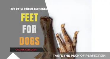 Preparing Chicken Feet for Dogs: A Raw Diet Treat