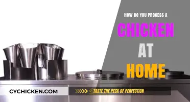 Home Chicken Processing: A Step-by-Step Guide for Beginners