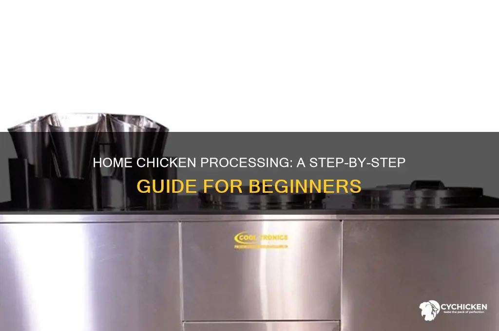 how do you process a chicken at home