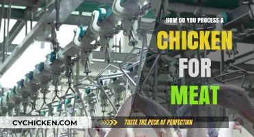From Coop to Kitchen: A Step-by-Step Guide to Processing Chickens for Meat