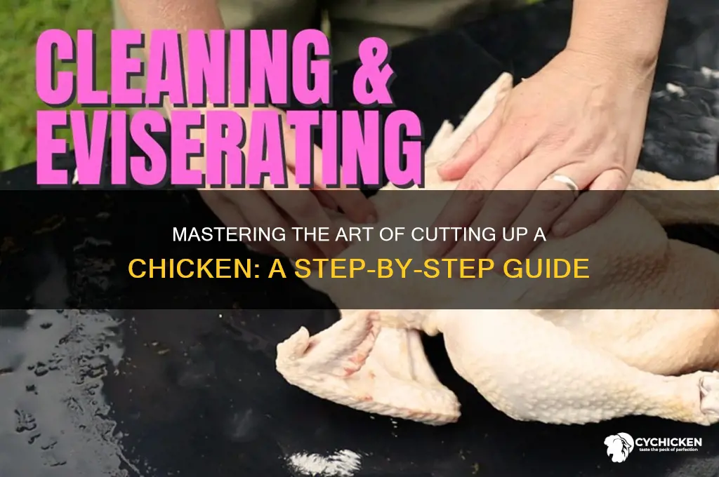 how do you properly cut up a chicken