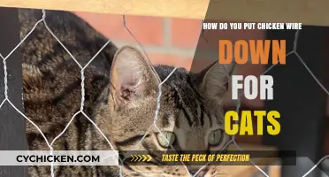 Protecting Your Garden: Chicken Wire for Cats