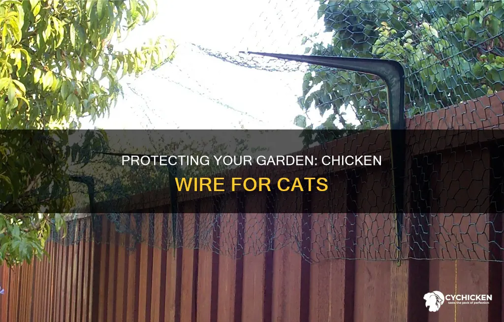 how do you put chicken wire down for cats
