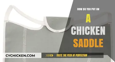 Easy Steps to Safely Put on a Chicken Saddle for Protection