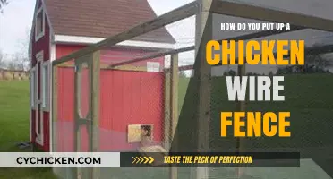 Setting Up a Chicken Wire Fence: A Step-by-Step Guide