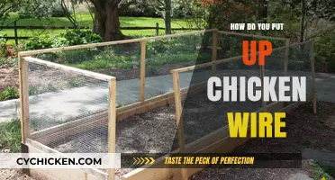Easy Steps to Install Chicken Wire for Secure Fencing