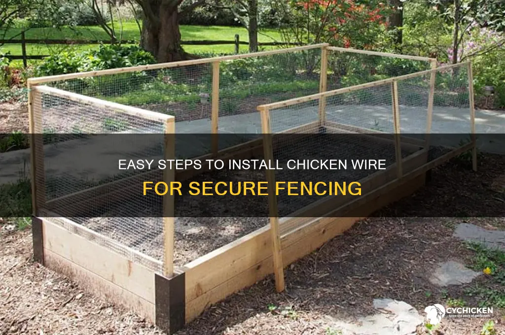 how do you put up chicken wire