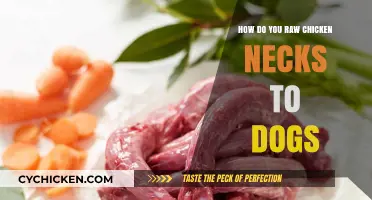 Feeding Raw Chicken Necks to Dogs: A Safe and Nutritious Guide