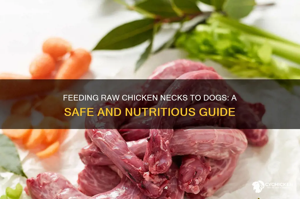 how do you raw chicken necks to dogs