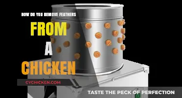 Efficient Feather Removal: A Step-by-Step Guide for Chicken Processing