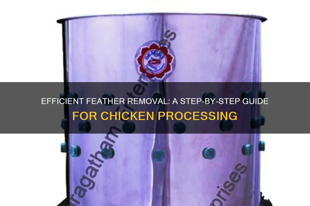how do you remove feathers from a chicken