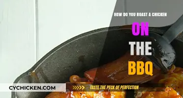 Mastering BBQ Chicken: Perfectly Roasted Bird Every Time