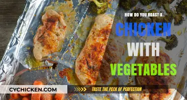 Perfectly Roasted Chicken with Vegetables: Simple Steps for Juicy Results